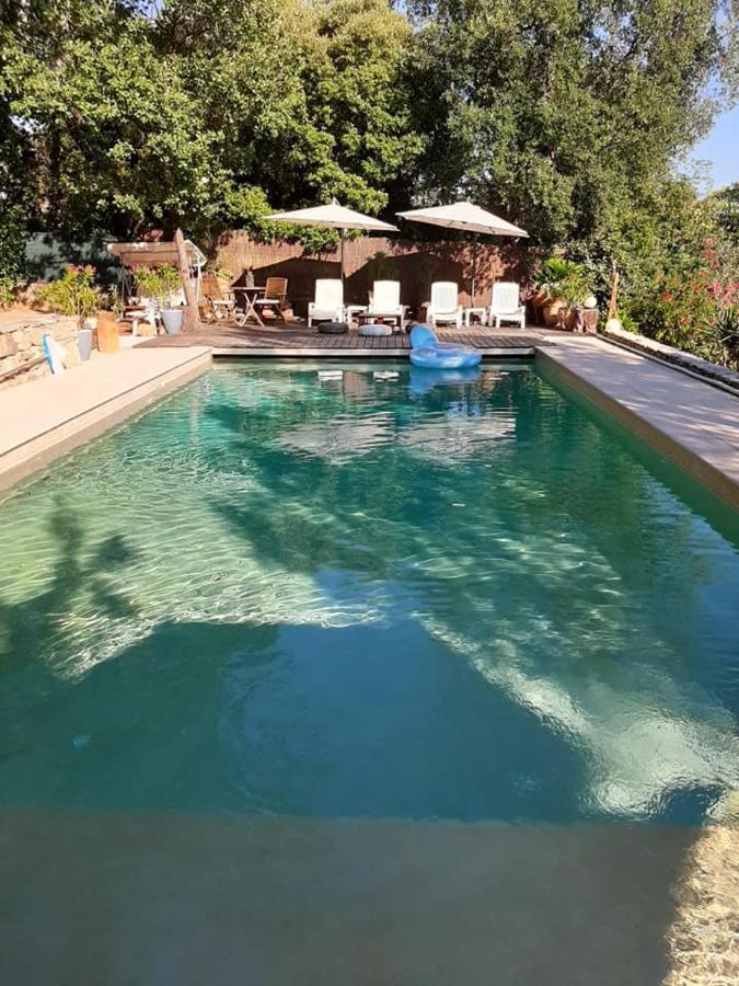 Mas Provencal Au Cannet Des Maures Le Cannet-des-Maures Eksteriør bilde