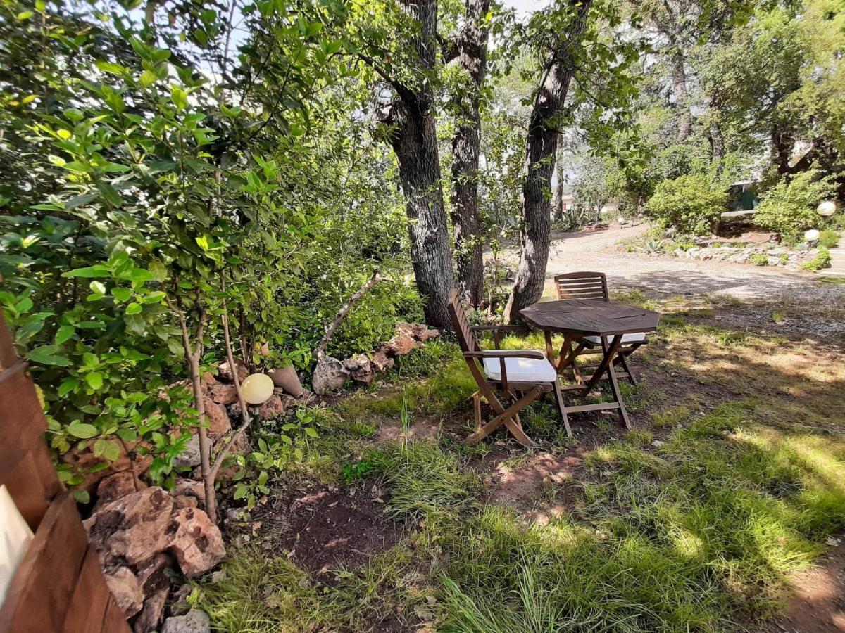 Mas Provencal Au Cannet Des Maures Le Cannet-des-Maures Eksteriør bilde